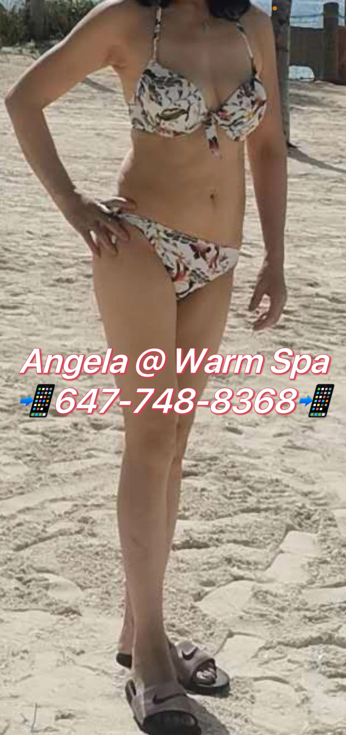 IMG_6499.webp